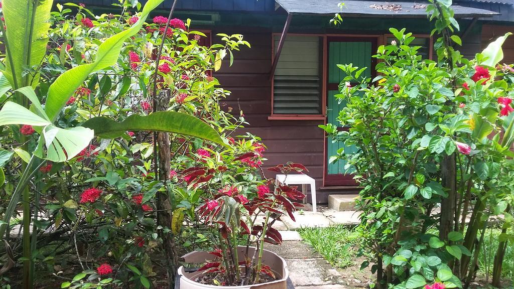 Secret Cabins At Firefly Beach Cottage Negril Habitación foto